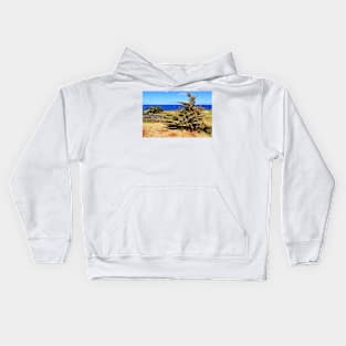 Christmas Tree on Easter Island - Rapa Nui Kids Hoodie